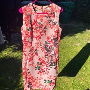 Calvin Klein pink floral scuba sheath dress: size 12.